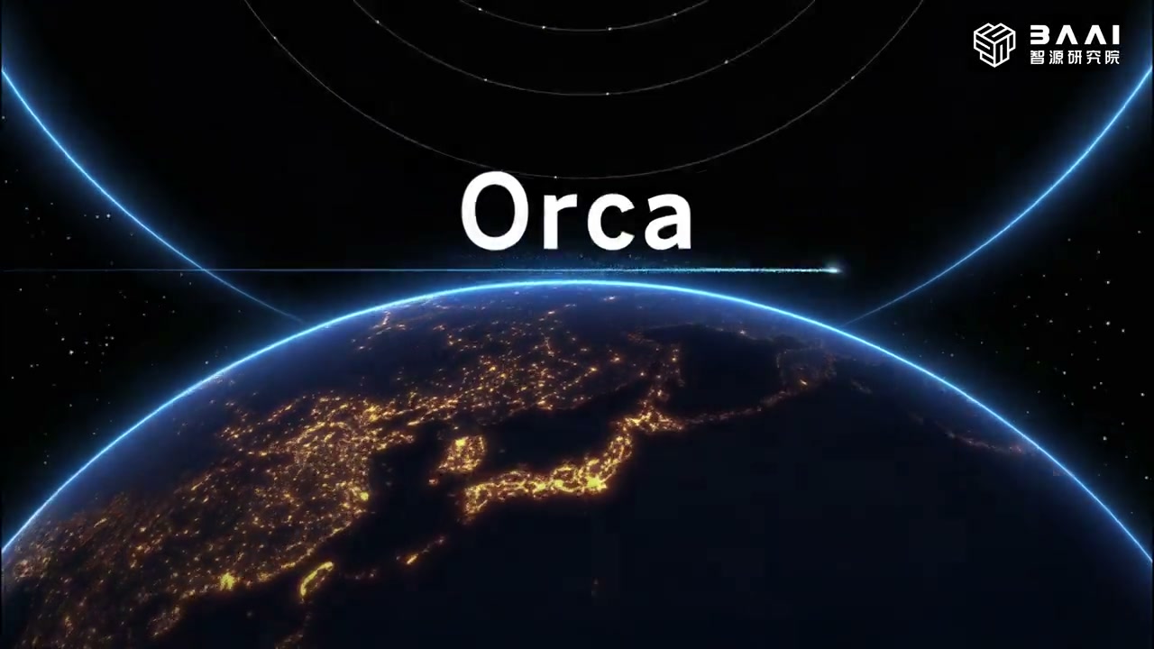 Orca